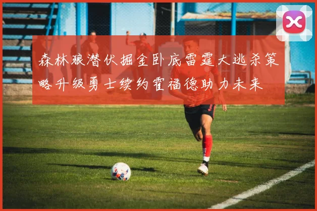 森林狼潜伏掘金卧底雷霆大逃杀策略升级勇士续约霍福德助力未来
